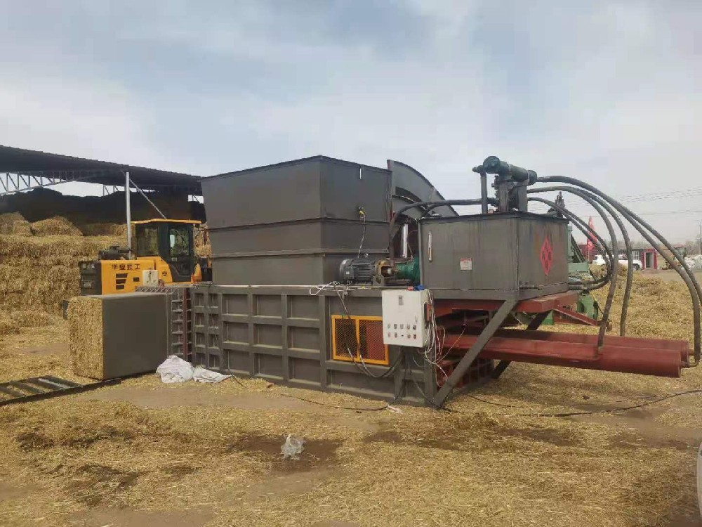 Malaysian customer purchased Bryda machinery straw baler site